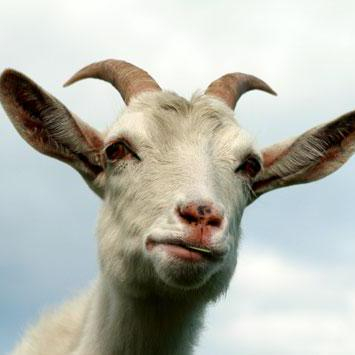 JoshuaKleckner's avatar