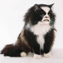 VirtualWolf's avatar
