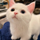 brettn's avatar