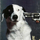 DanielSpaniel's avatar